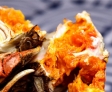 一年一度的品蟹季节来了，阳澄湖大闸蟹开团，NY地区brooklyn自取